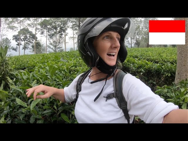 Endonezya'de puncak Video Telaffuz