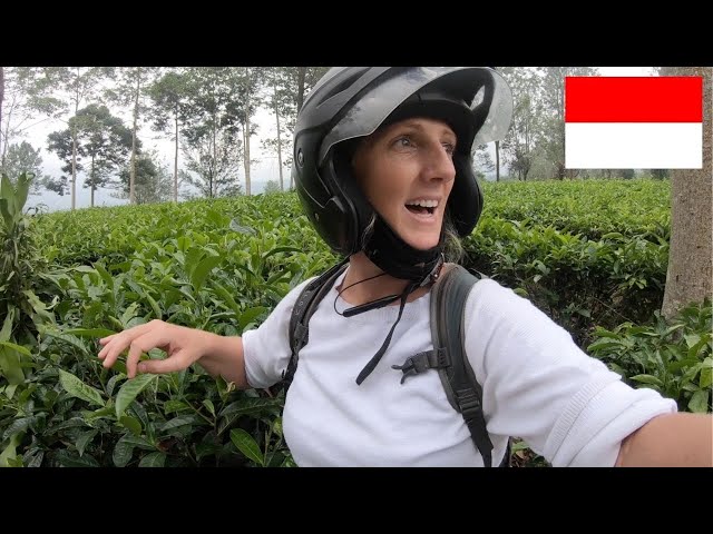 Video Aussprache von puncak in Indonesisch