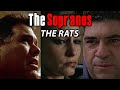 The Rats Of The Sopranos Soprano Theories