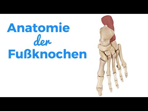 LFK auf den Hüften Video Bewegungstherapie in Dysplasie