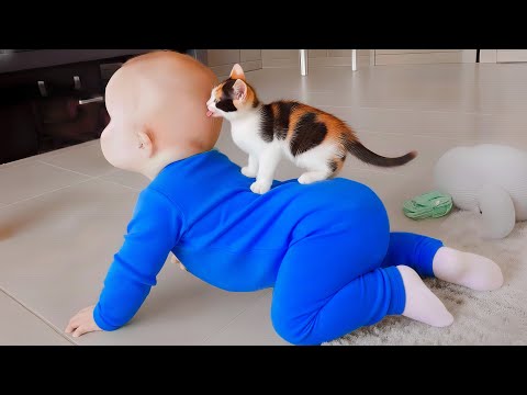 Babies vs Pets: The Ultimate Funniest Showdown - Cute Baby Videos || COOL PEACHY🍑