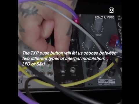 Video: Colossus Audio Rasp