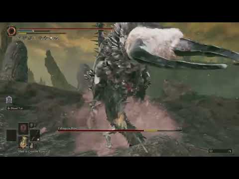 Fallingstar Beast | Boss Fight | Arcane Build | Shadow of the Erdtree | Elden Ring
