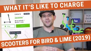 What it’s Like to Charge Scooters for Bird and Lime in 2019