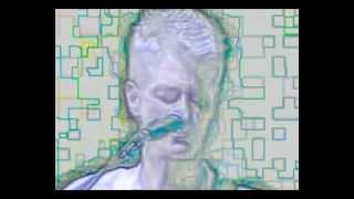 Peter Hammill - After The Flood - solo 2010