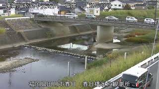 動画のサムネイル