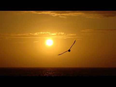 Mea Culpa - Spiritual Light (Mea's Supernatural Mix)