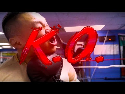 Bohan Phoenix - The Prince (Official Video)