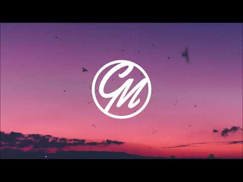 Viva La Panda  -  Amaze