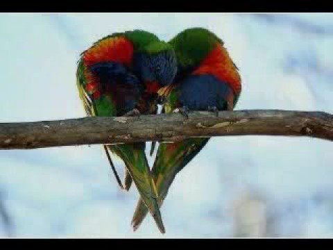 Juice&Kayscore feat Chicco Light *_*BABYGIRL*_*