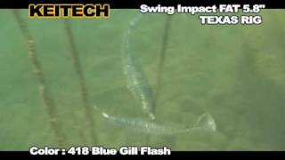 Miniature de la vidéo Nage du leurre souple Keitech Swing Impact Fat 5.8