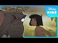 Inspection Time In The Jungle Jungle Book Disney Kids