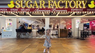 SUGAR FACTORY INSIDE MALL OF AMERICA