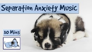 Keep Separation Anxiety at Bay with RelaxMyDog