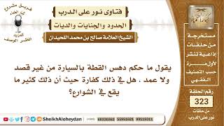 صورة 4073 -  حكم دهس القطة بالسيارة من غير قصد -  نور على الدرب