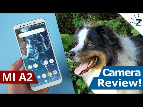 Xiaomi Mi A2 IN-DEPTH Camera Review! 📸