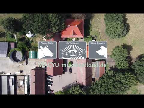 Video 15 aus  Hof Holtmann