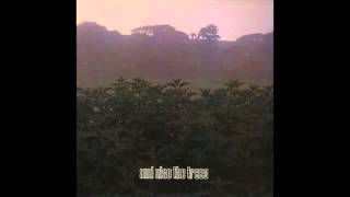 And Also The Trees - And Also The Trees (1984) Post Punk, Gothic Rock - UK