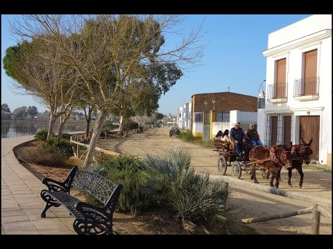 6-8.1.2017: El Rocío, Spain