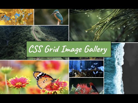 CSS Grid Image Gallery