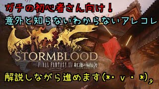 ［FF14］初心者さん向け！ロールや各ジョブについて等［ixon鯖］