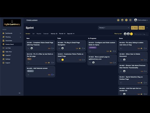 Agile Luminary video preview