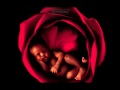 Mercedes Sosa - Duerme negrito