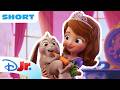 Time For Magic With Sofia And Clover Sofia The First Magical Friends Disneyjr