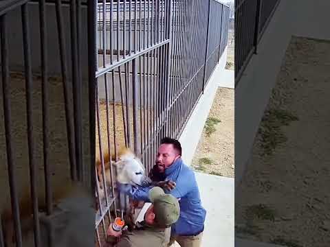 حين يشتد الشدّ ويزداد الخطر يظهر الحفيظ ليحمي الأرواح #ytshorts #shorts