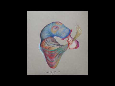 Můžeš rozumět řeči svých snů - kniha Tušení malin