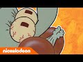 SpongeBob SquarePants | Octo wordt gek | Nickelodeon Nederlands