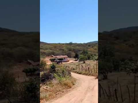 às belezas do sítio serrinha dos Carlos quixaba Pernambuco,, sertão nordestino!