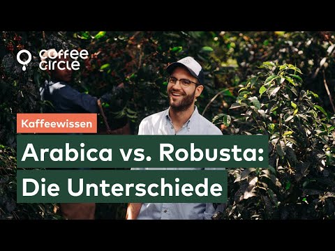 Arabica vs. Robusta – Was sind die Unterschiede?