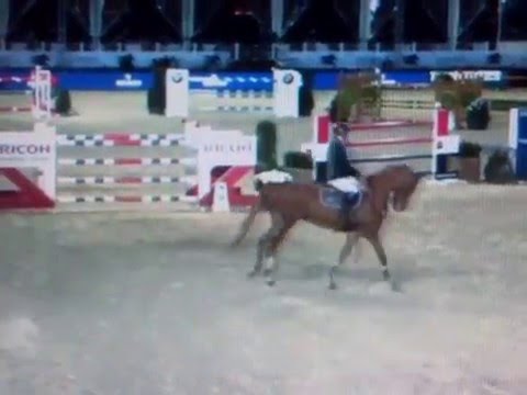 Princesse Léontine Ledimar Z HDC Patrice Delaveau M50-55 Anvers