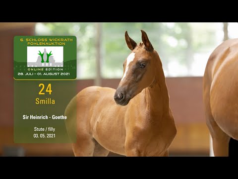Fohlenauktion 28.7. - 01.8.2021 Katalog-Nr. 24 Smilla SF v. Sir Heinrich - Goethe