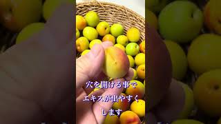 梅シロップをお砂糖で作ってみたよ！#簡単レシピ #梅ジュース#季節の仕事