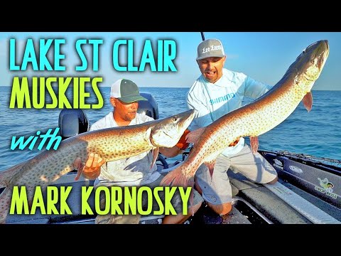 Lake St. Clair Musky Strategies With Mark Kornosky - When And How!!