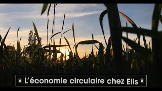 L&#39;économie circulaire chez Elis | Elis FR