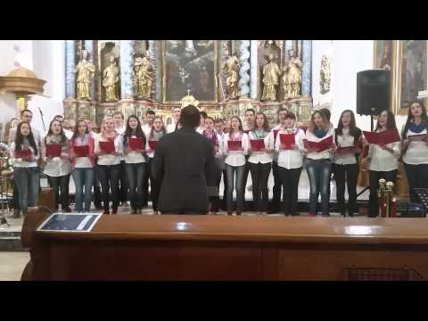 ZMVK i ZMVB- Djeluj kroz mene