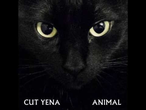 CUT YENA - Rionero [Audio]