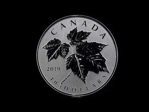 1/2 oz. Pure Silver Coin - The 2019 Maple Leaf Coin