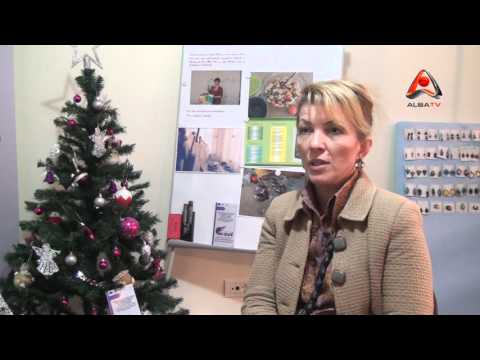 Proiect Sesuri Fonduri Europene