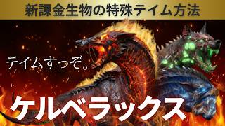 【ARK/ASA】ケルベラックス / CERBERAX 課金生物だけど脳筋テイムできない？3つの首を持つ新生物テイムチャレンジ！！【アストレオス/Astraeos】