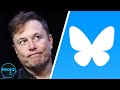 Top 10 Things To Know About Bluesky