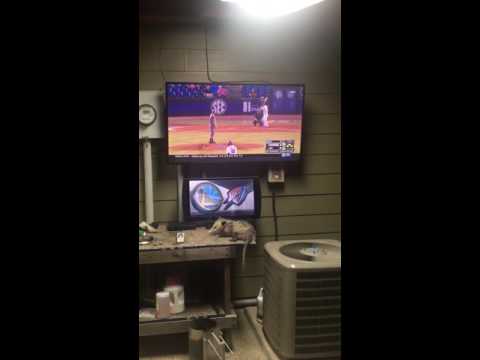 Rally Possum 5/24/2016