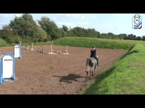 Bella-Cara Holsteiner Stute von Calato