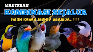 Download lagu 2 jam masteran Full Isian Kasar Jernih! Masteran Kombinasi Sejalur Paling Dicari!! mp3