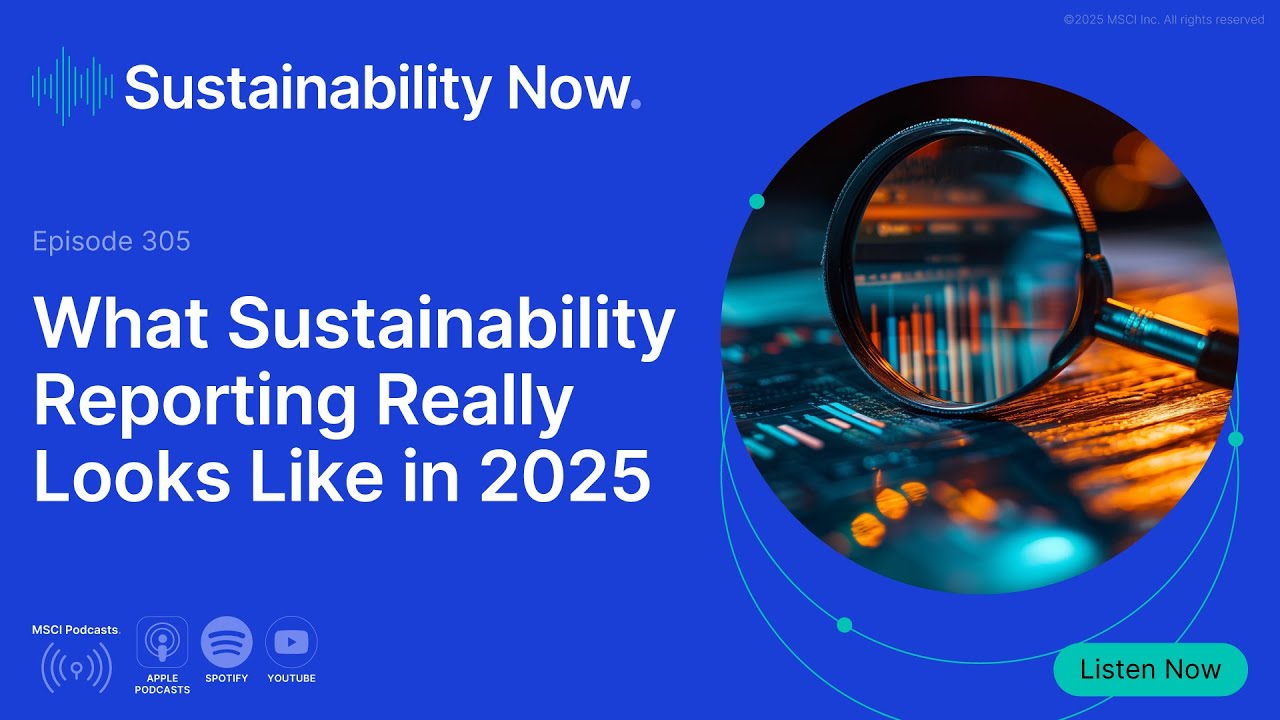 What Sustainability Reporting Really Looks Like in 2025