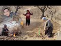 The Mysterious Cave Hagar S Attempt To Dig A Cave And Fetch Firewood Before The Snowstorm ️