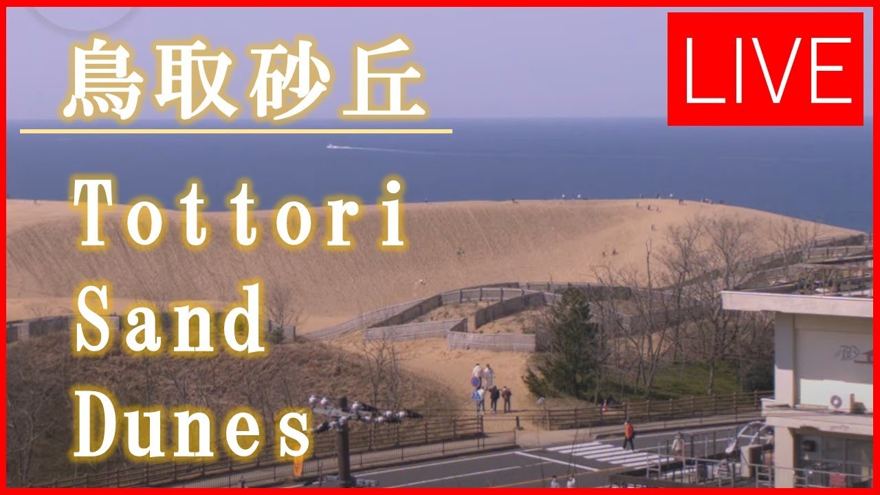 Sand Dunes Of Tottori